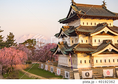 弘前公園の桜　弘前城 40192362