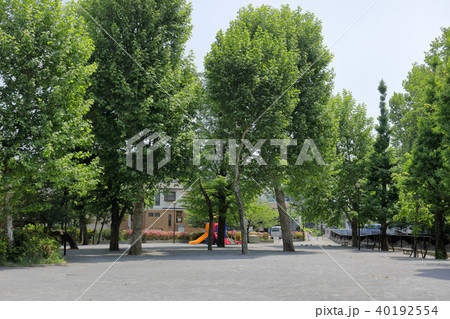 江古田公園(中野区) 江古田公園(中野区) 40192554
