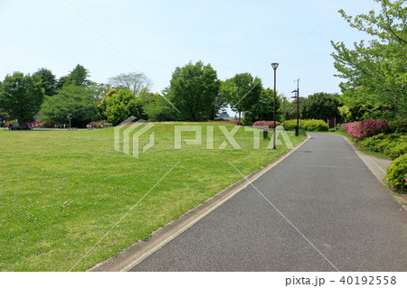 平和の森公園(中野区) 平和の森公園(中野区) 40192558