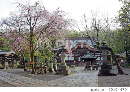 深大寺 深大寺 40194479