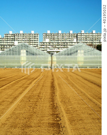 1月の畑風景 40195032