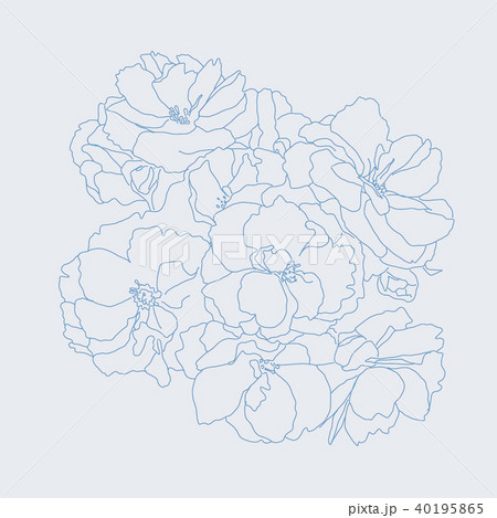 八重桜 線画のイラスト素材 [40195865] - PIXTA