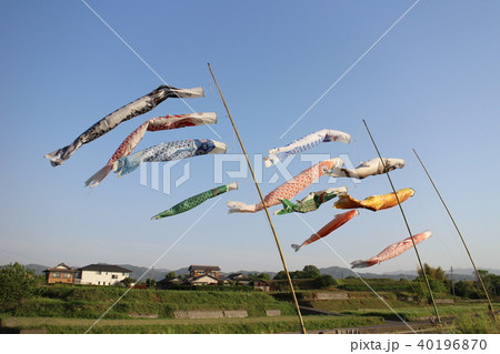 皐月の風になびく鯉のぼり 40196870