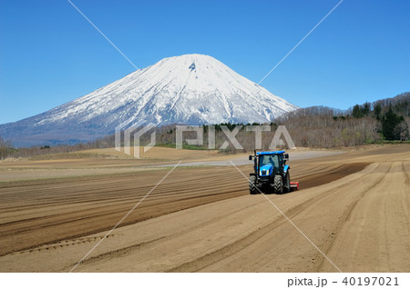 羊蹄山とトラクター 40197021
