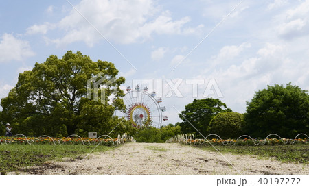 熊本市動植物園 観覧車 熊本市動植物園 観覧車 40197272