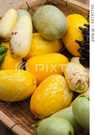 マクワウリ　真桑瓜　まくわうり　マクワ瓜　黄金マクワ 40197740