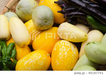 マクワウリ　真桑瓜　まくわうり　マクワ瓜 40197741