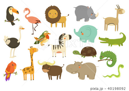 Jungle animals and birds set, flamingo, gazelle, elephant, rhinoceros, ostrich, toucan, lion, turtle 40198092
