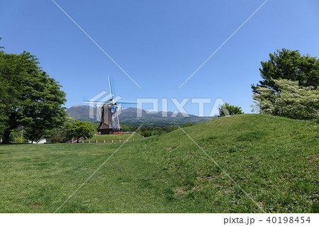 大胡ぐりーんふらわー牧場の新緑 大胡ぐりーんふらわー牧場の新緑 40198454