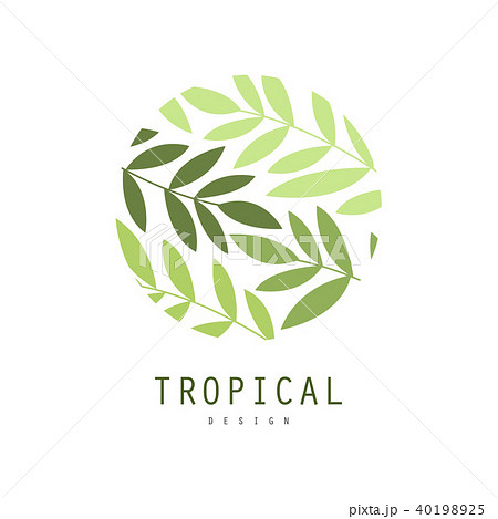 Tropical logo design, round badge with palm leaves vector Illustration on a white background 40198925