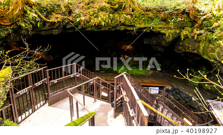 鳴沢氷穴_入り口 40198927