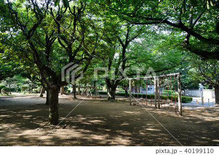 新緑の、船橋市御滝公園 新緑の、船橋市御滝公園 40199110