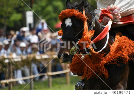 賀茂競馬 足汰式(かもくらべうま あしぞろえしき) 賀茂競馬 足汰式(かもくらべうま あしぞろえしき) 40199471