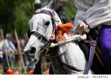 賀茂競馬 足汰式(かもくらべうま あしぞろえしき) 賀茂競馬 足汰式(かもくらべうま あしぞろえしき) 40199701