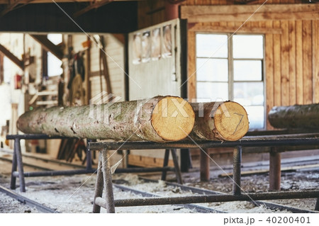 Timber at the sawmill 40200401