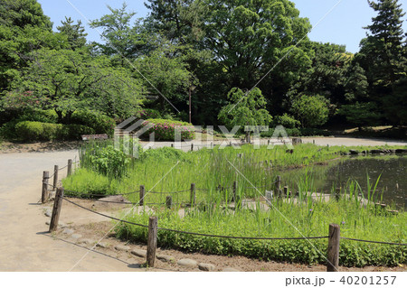 哲学堂公園(中野区) 40201257