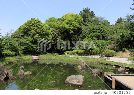 哲学堂公園(中野区) 40201259