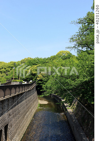 妙正寺川(中野区) 40201260