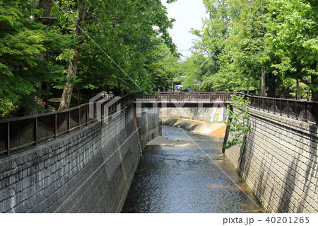 妙正寺川(中野区) 妙正寺川(中野区) 40201265