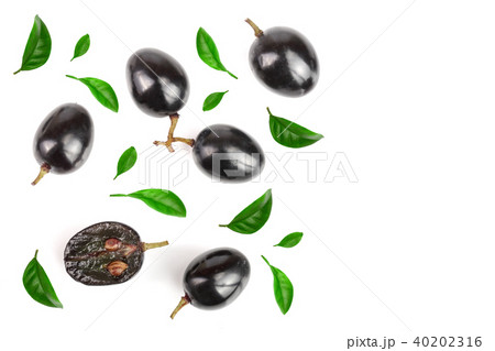 Dark grapes decorated with green leaves isolated on white background with copy space for your text Dark grapes decorated with green leaves isolated on white background with copy space for your text 40202316