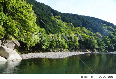 新緑の富田川流域の風景　和歌山県田辺市 40202360