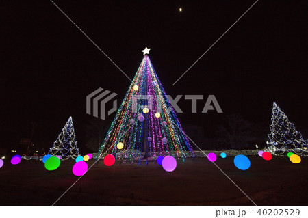 イルミネーション 40202529