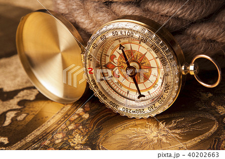Golden Compass, navigation equipment 40202663