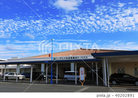 沖縄県　石垣島　石垣港離島ターミナル 40202891