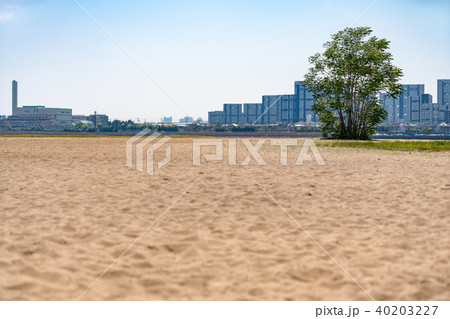 兵庫県 御前浜 兵庫県 御前浜 40203227