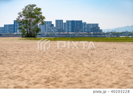 兵庫県 御前浜 兵庫県 御前浜 40203228