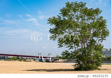 兵庫県 御前浜 兵庫県 御前浜 40203235