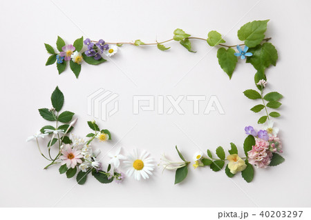 花のフレームパステルカラーの写真素材