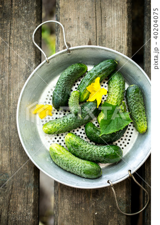 cucumber in a colander 40204075