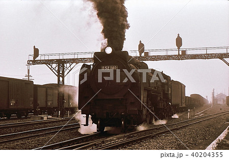 昭和44年 D52蒸気機関車貨物列車。函館本線大沼。 40204355