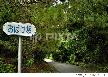 久米島　おばけ坂！？ 40204501