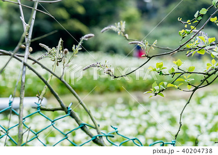 台北 台北市 タイペイ 40204738