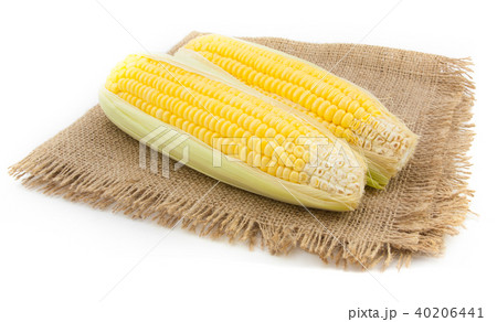 two corn on sack background 40206441