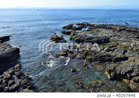 高解像度) 黒崎 神奈川県三浦市初声町の風景 高解像度) 黒崎 神奈川県三浦市初声町の風景 40207946