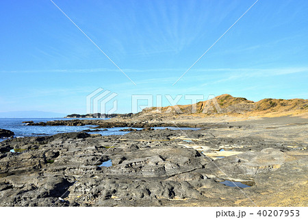高解像度) 黒崎 神奈川県三浦市初声町の風景 高解像度) 黒崎 神奈川県三浦市初声町の風景 40207953