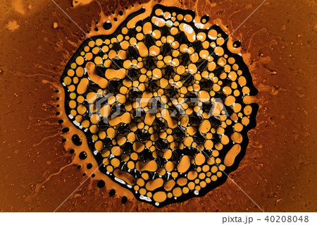 Microscopic phot with organisms and abstract shapes Microscopic phot with organisms and abstract shapes 40208048