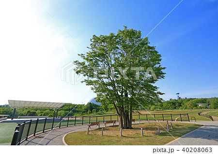 愛・地球博記念公園（モリコロパーク） 40208063