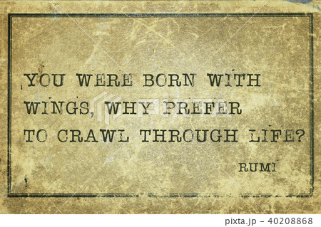 why crawl Rumi why crawl Rumi 40208868