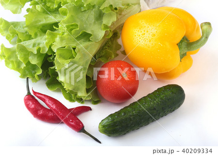Assorted vegetables, fresh bell pepper, tomato, chilli pepper, cucumber and lettuce isolated on Assorted vegetables, fresh bell pepper, tomato, chilli pepper, cucumber and lettuce isolated on 40209334