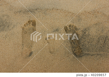 Close-up family foot prints on sandy beach Close-up family foot prints on sandy beach 40209657
