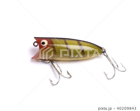ルアー　トップウォータープラグ 40209843