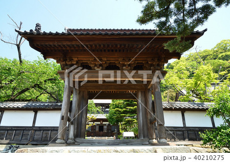 清見寺　山門 40210275