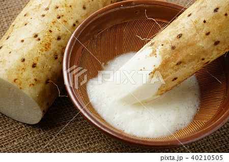 長芋とろろ 40210505