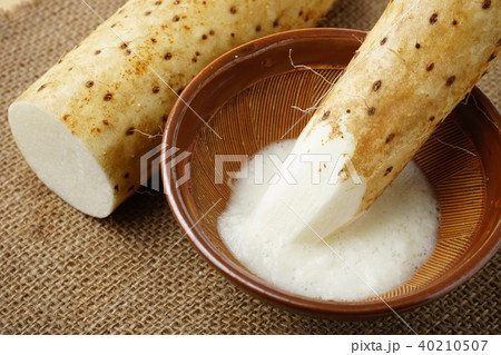 長芋とろろ 40210507