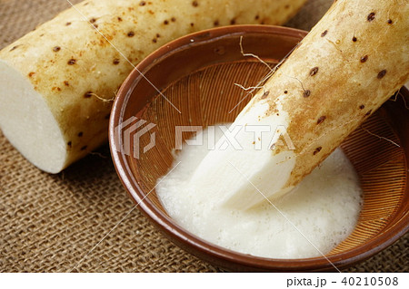 長芋とろろ 長芋とろろ 40210508