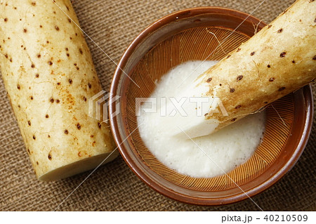 長芋とろろ 長芋とろろ 40210509